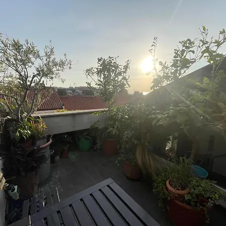 Piccola In Condiviso Con Terrazza Vista Mare, Shared Τεργέστη