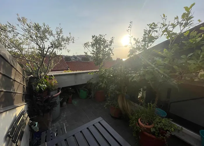 Piccola Con Terrazza Condivisa Vista Mare Trieste